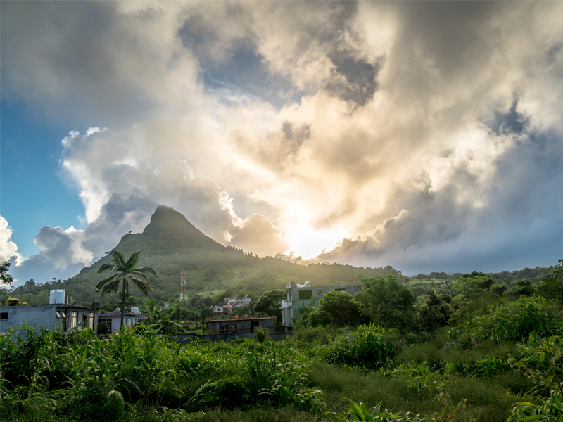 Three Business Initiatives That Advance Climate Justice  thumbnail image