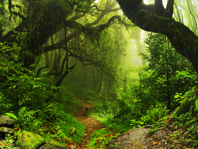 Five Ways to Activate Your Board on Nature thumbnail image