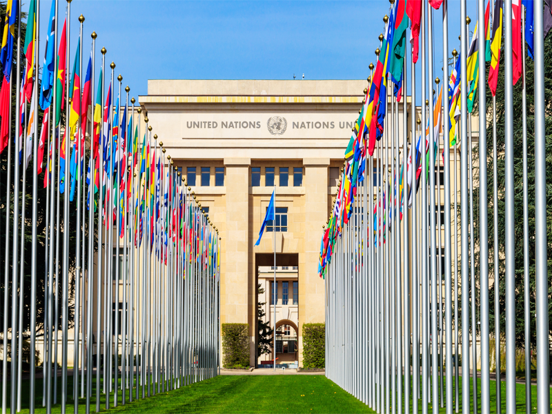 Leveling the Global Playing Field: A Binding Treaty on Business and Human Rights  thumbnail image