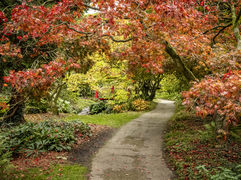 Beyond 2025: Setting Credible Sustainability Goals for Long-Term Impact thumbnail image