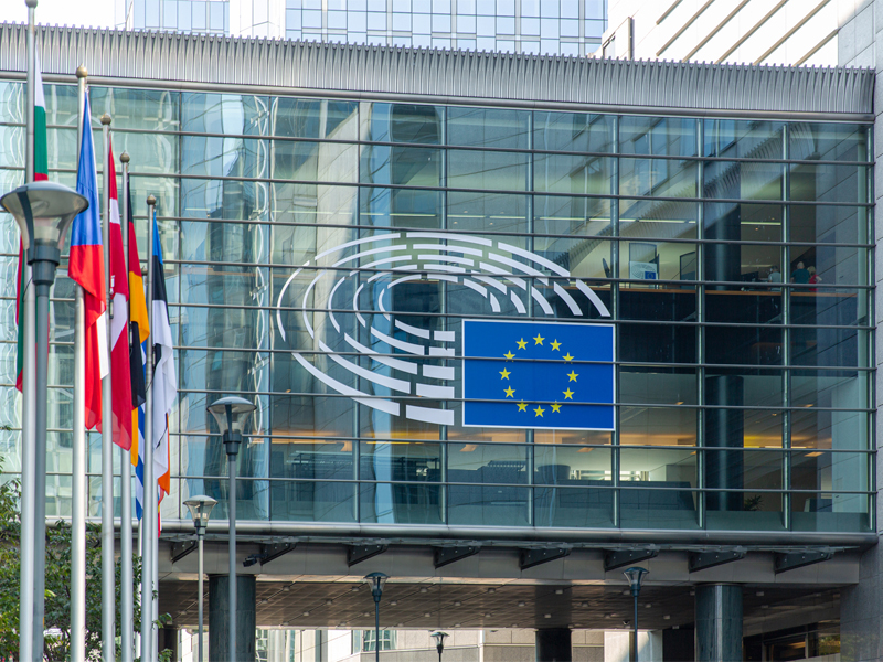 CSDDD: A Pragmatic Approach to Managing Human Rights and Environmental Impacts thumbnail image