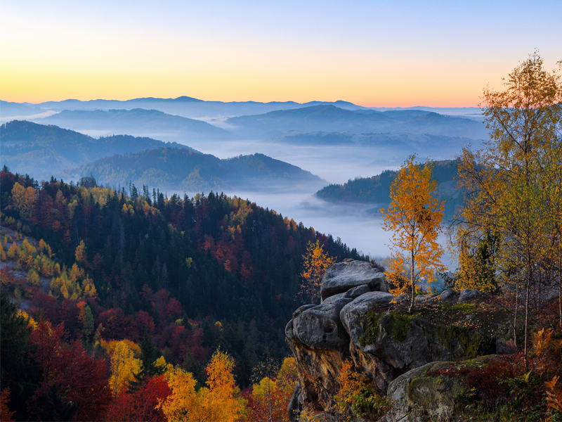 Double Materiality and Decision Quality: An Opportunity for the Courageous thumbnail image