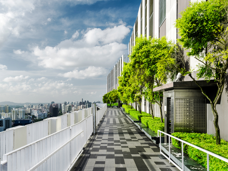 Advancing a Just Transition: Lessons from Company Practices thumbnail image