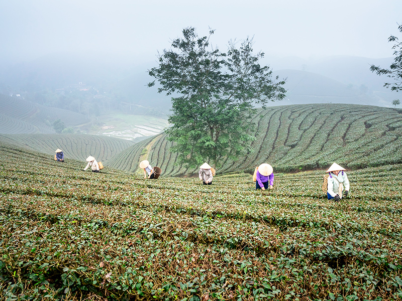 Supply Chain Sustainability Office Hours (February-April 2026) thumbnail image