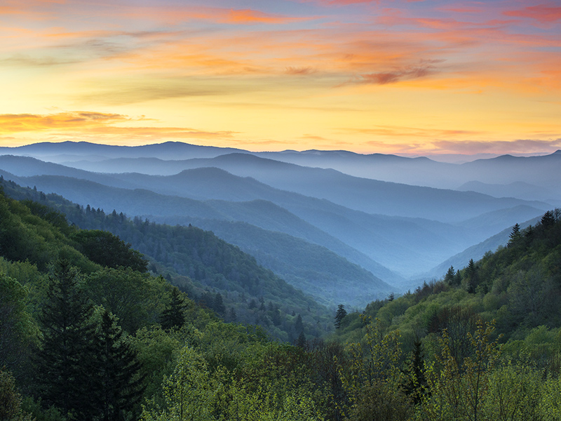 Earth Day: Centering Health Equity in Climate Action thumbnail image