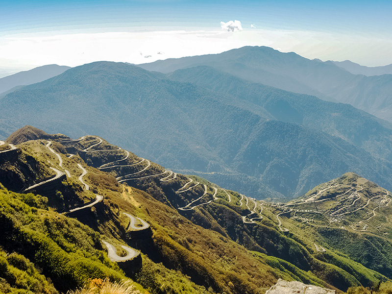 How Foresight Can Enhance Strategic Resilience in a Time of Turbulence thumbnail image