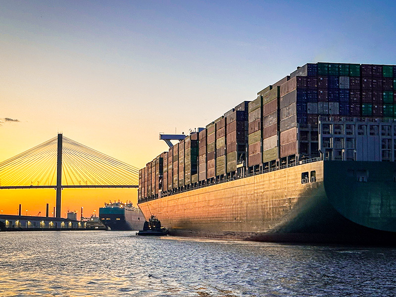 Strengthening Supply Chain Sustainability: Eight Dimensions for Responsible Business thumbnail image