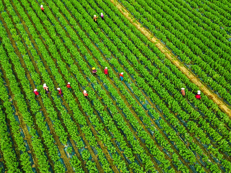 Developing Integrated Approaches to Human Rights, Climate, and Nature  thumbnail image