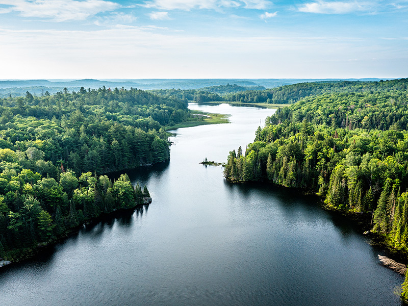 Decarbonization Lever Library: Mapped Sectoral Transition Pathways thumbnail image