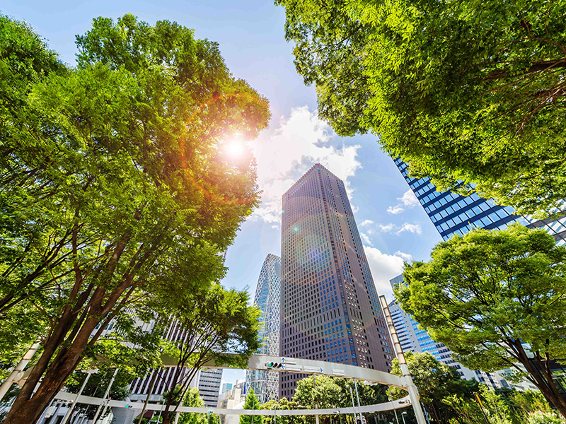 A Renewed Approach to Sustainability: Five Building Blocks for Business thumbnail image