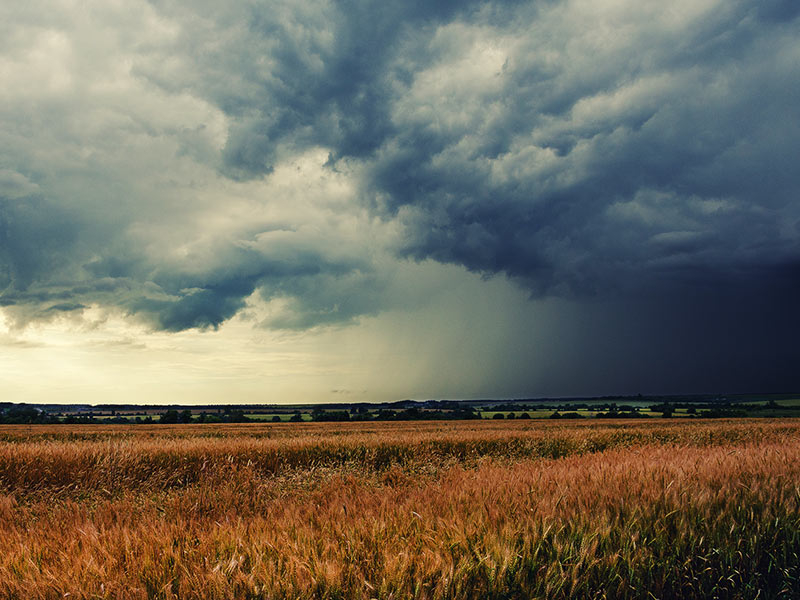 A Year of Uncertainty: Ten Big Questions Facing Sustainable Business Leaders in 2025 thumbnail image