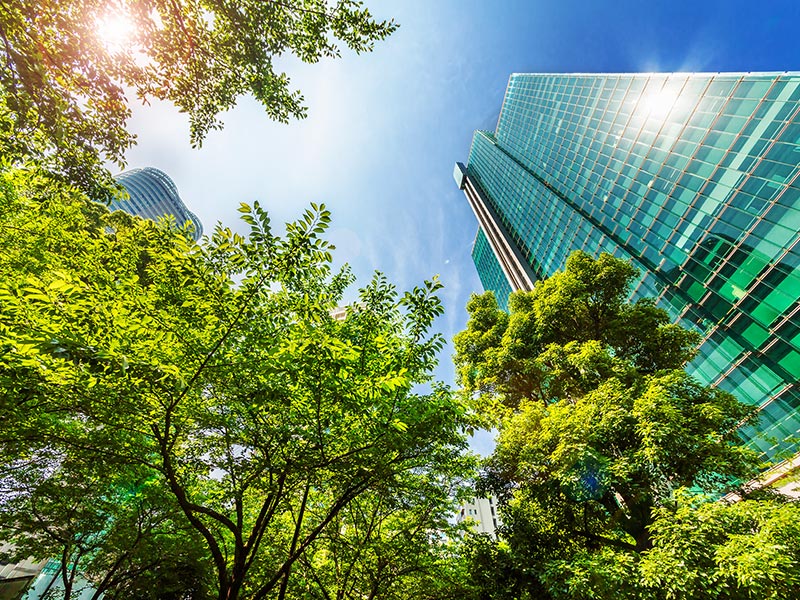 Conducting an ESRS and IFRS Gap Assessment thumnail image