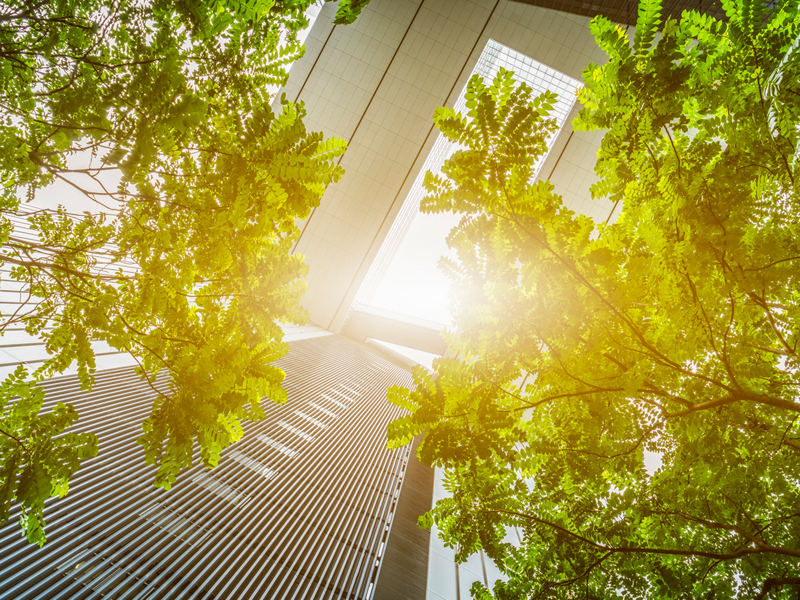 The Climate and Health Nexus: Embedding Equity through Community Engagement thumbnail image