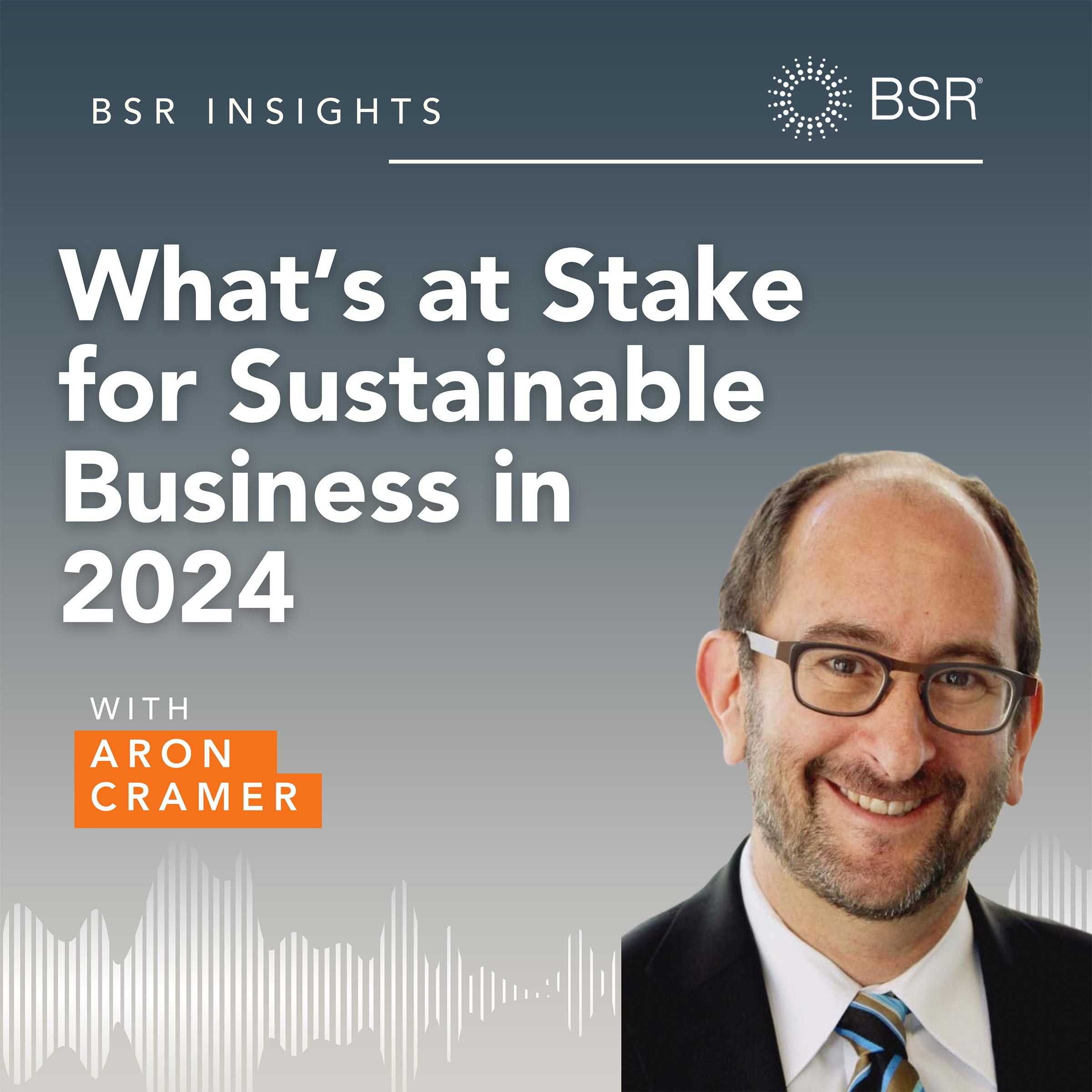 What’s at Stake for Sustainable Business 2024 thumbnail