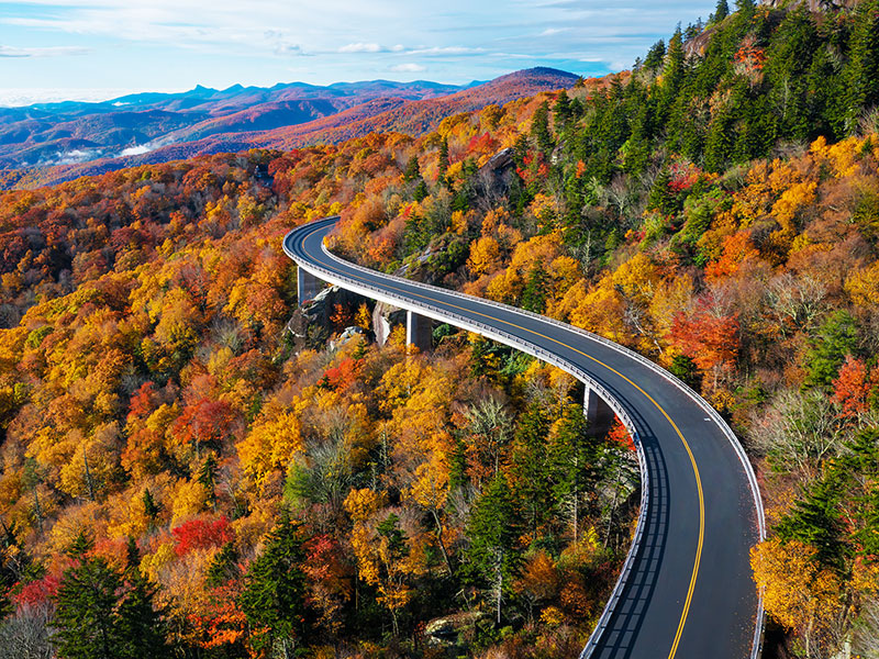 Climate and Nature thumnail image