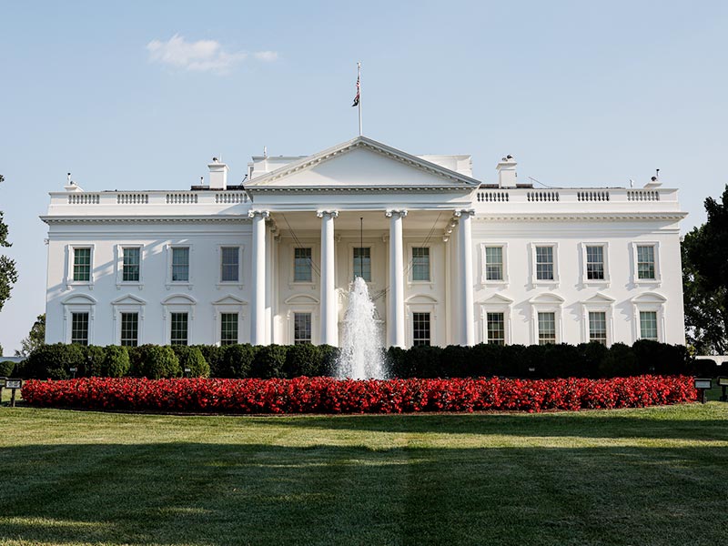 How Companies Are Responding to U.S. Executive Orders Targeting DEI  thumbnail image