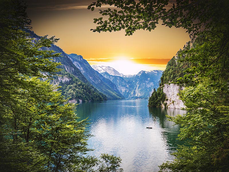 Back to Nature: A Call to Action thumbnail image