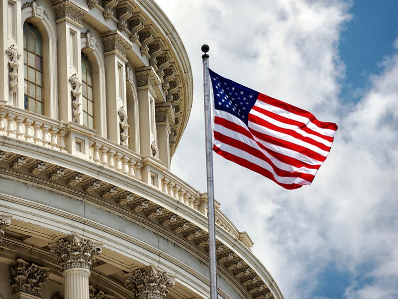 Navigating US Election Uncertainty: A Call to Action for Sustainable Business thumbnail image