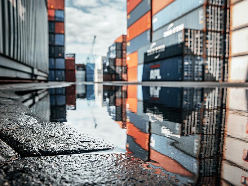 Value Chain First Movers thumbnail image