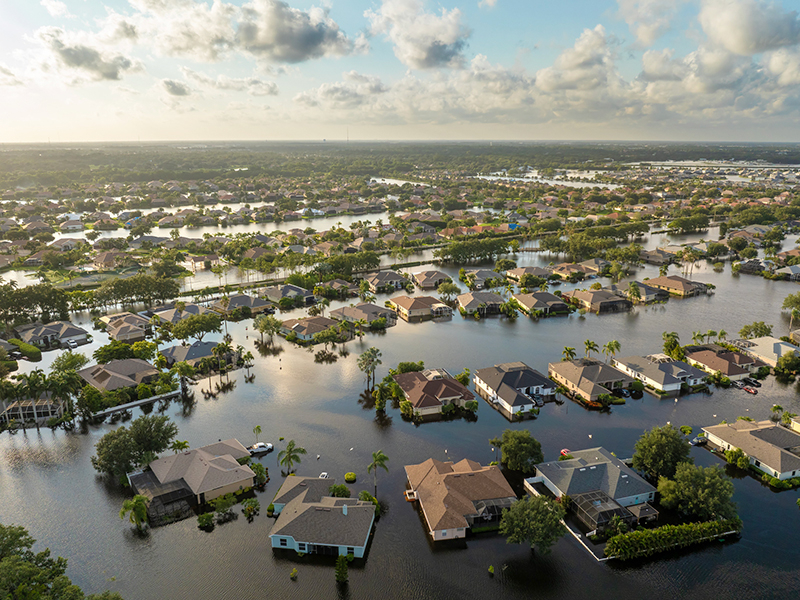 Building Community Climate Resilience Through Impactful Partnerships thumbnail image