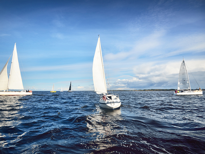 Charting the Course: Navigating the Climate Transition Plan Landscape thumnail image