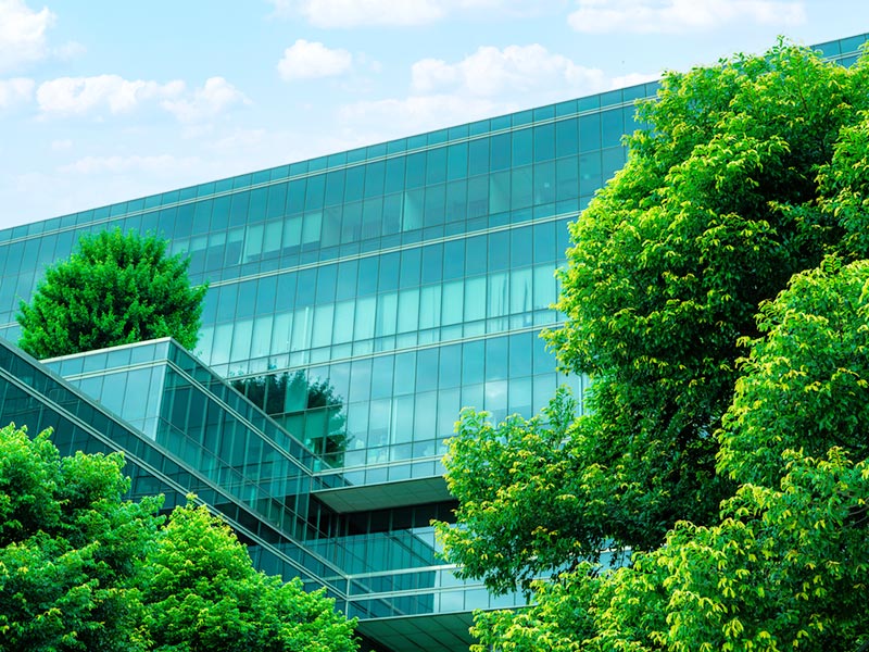 Corporate Sustainability Reporting Directive (CSRD) Brief thumnail image