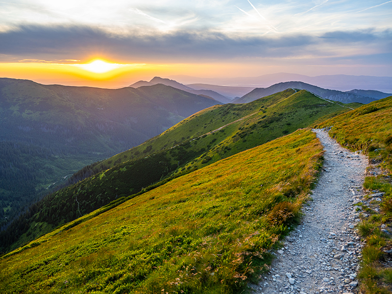 Learning Lab: Laying the Foundation for Your Climate Transition Plan thumbnail image