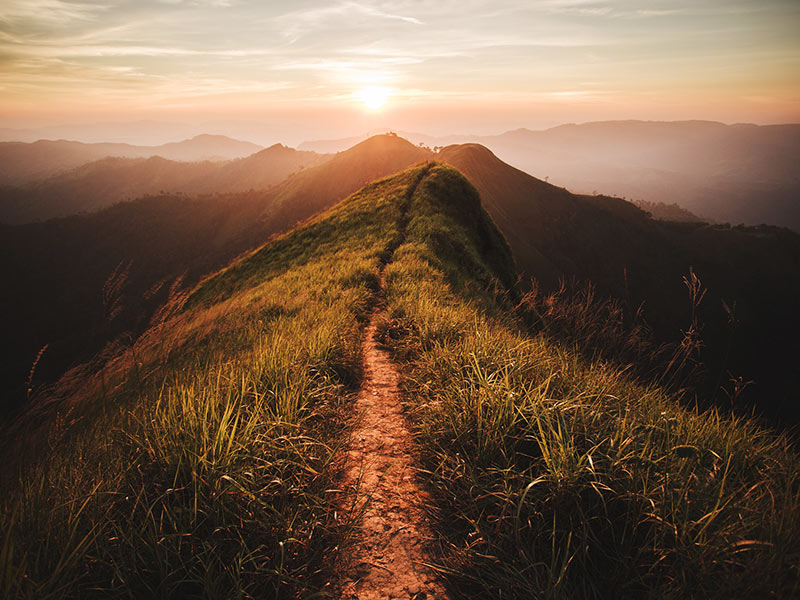 Sustainability Goal Setting: A New Chapter thumbnail image