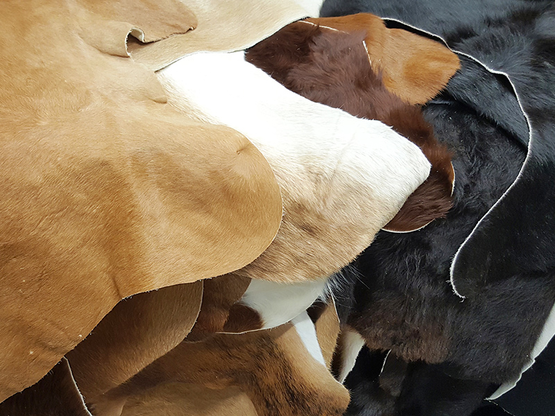 Leather-Linked Soy Deforestation thumnail image