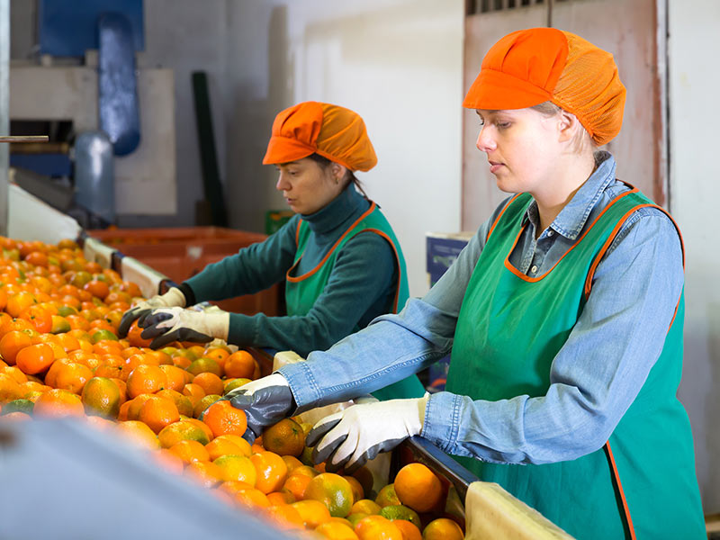 Closing the Gender Gap: Addressing Wage Inequality thumnail image