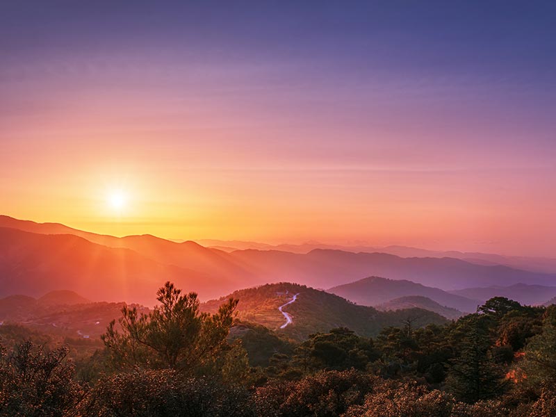 Member Insights, 2024 Q3 thumnail image