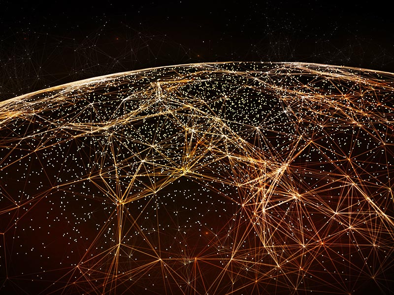 Member Insights, 2025 Q1 thumnail image