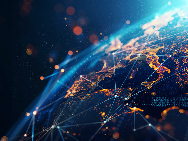 Member Insights, 2024 Q4 thumnail image