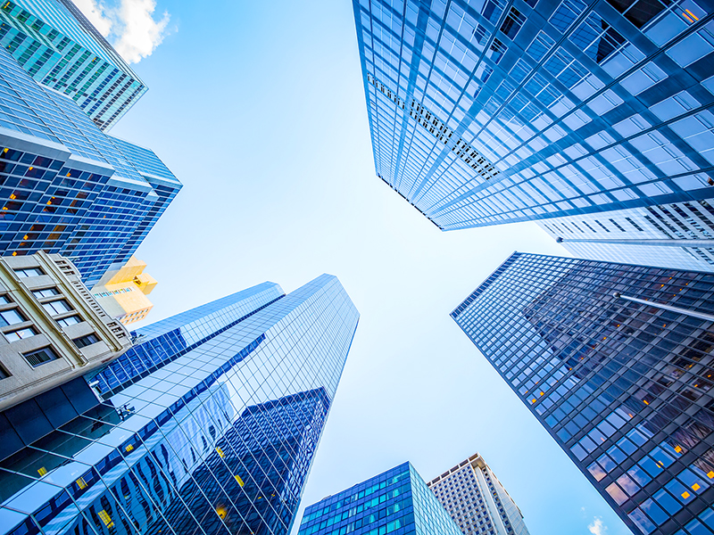 Member Insights, 2025 Q3 thumnail image