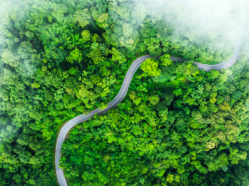 SBTi Net-Zero Standard Revision thumbnail image